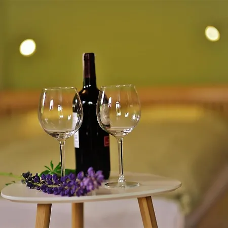 Διαμέρισμα Ovca Apartament *